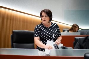 Diputada local Gabriela Félix